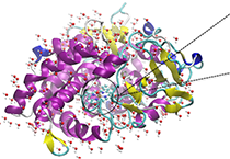 2009年5月J9集团参与了上海国际蛋白质及多肽产业展览会