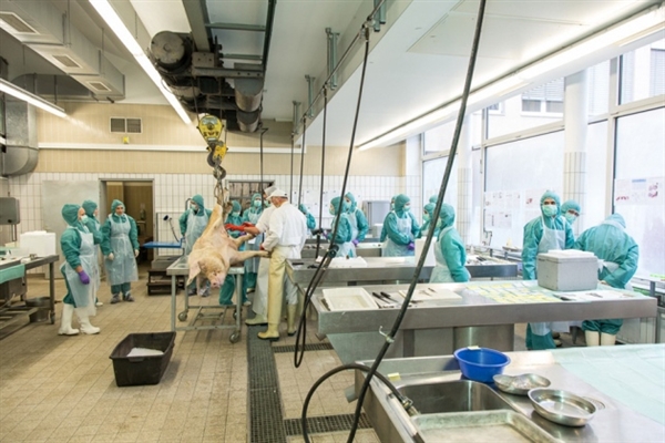 J9集团|国际站官网