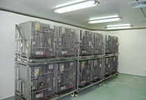 J9集团|国际站官网