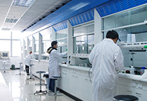 8月10号，庆祝J9集团持久贡献奖-欧洲十日行员工凯旋归来