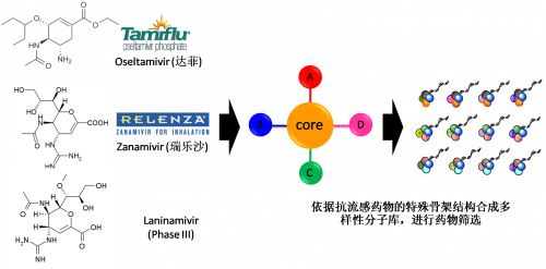 图2：以现有抗流感药物的结构为基础，进行多样性药物分子库的合成。