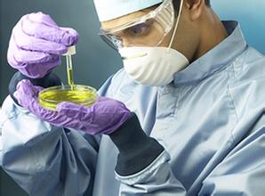 国内药物研发与质控对杂质钻研使劲过猛