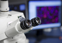 TPP和谈敲定对生物造药行业的5大影响