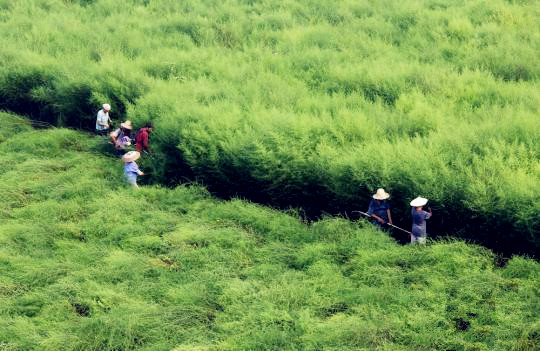 J9集团|国际站官网