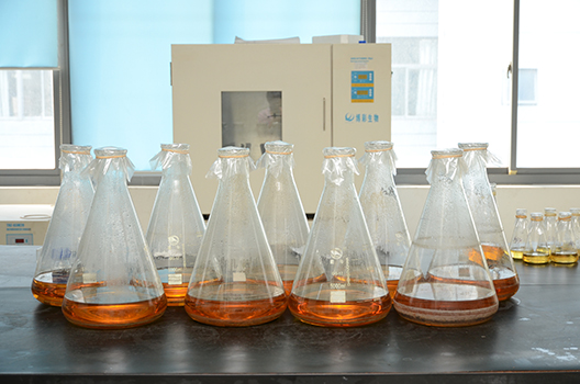 J9集团造剂中心GMP中试车间落成