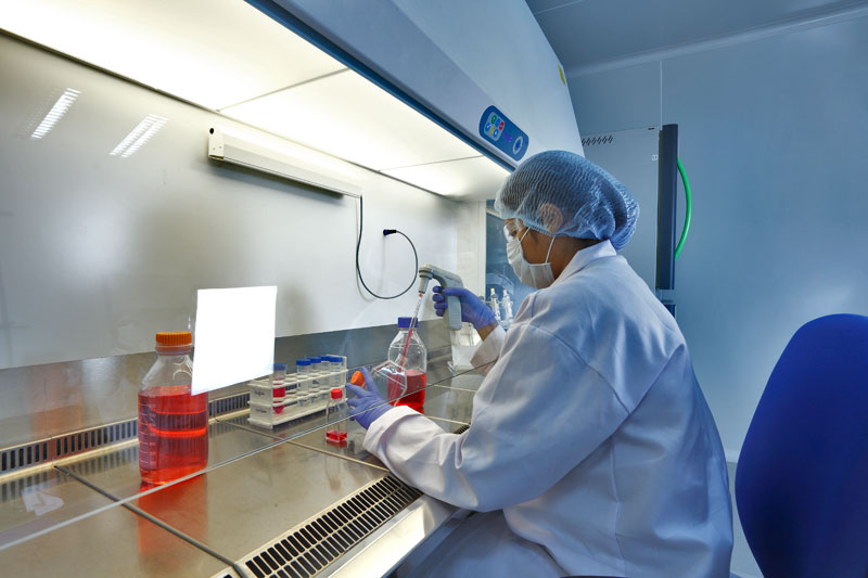 仿造药一致性评价成本500万药品将涨价