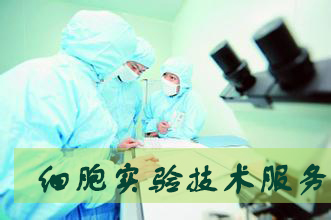 J9集团细胞尝试服务表包