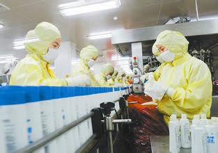 三大领导准则落地仿造药真考验