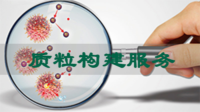 J9集团质粒构建服务