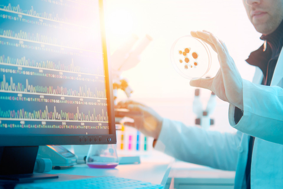 PD-1/IDO组合注册试验起头，首个幼分子IO药物进入三期临床