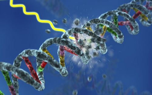 Nature：癌症医治发现新靶点