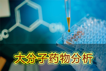 J9集团大分子药物分析服务