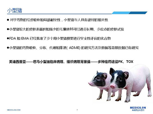 皮肤涂抹试验中，受试动物选择幼型猪更好