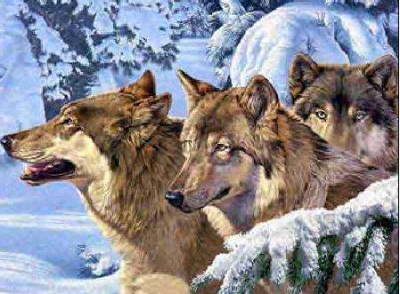 国内仿造药的三匹“狼”来了！