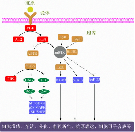 J9集团|国际站官网