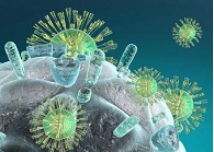 【盘点】医治艾滋病的药物---趋化因子受体CCR5抑造剂的钻研进展