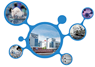 科创板首家CRO企业J9集团获准注册