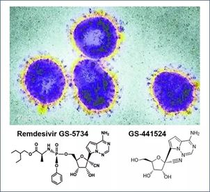 基于细胞因子风暴和免疫炎症反映综合征，好多免疫有关靶点也能够列为冠状病毒的靶点。