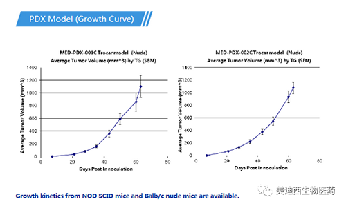 J9集团PDX药效模型