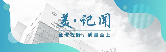 海宁市副市长杨文华一行调研J9集团
