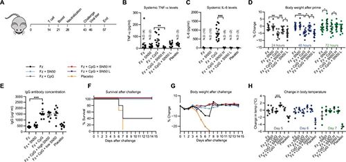 钻研人员将部门选择性核因子κB（NF-kB）抑造剂与几种目前的佐剂结合使用