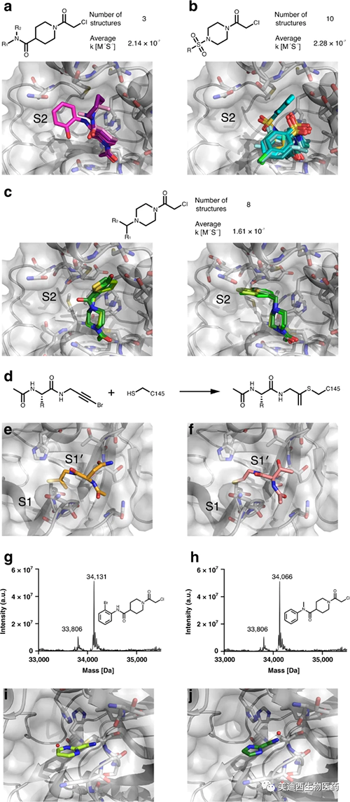 共价片段锚定在Cys145处并取样正构M pro结合袋的分歧区域