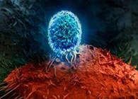 Nature：BATF3改善T细胞影象应答，有望改善免疫疗法的疗效