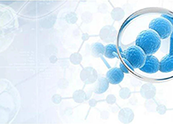 【云回首】病理钻研之细节决定TCR试验的成败