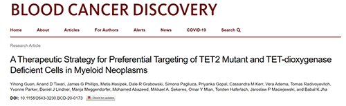 钻研者描述了一种新型靶向抗癌药物，这种药物可能会有效地医治某些常见的白血病。