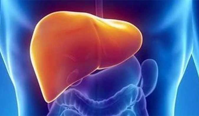 【J9集团助力】NASH领域新进展！海普丁HPD001即将在美启动临床试验