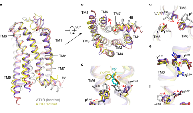 沃森生物与苏州艾博生物合作研发的新冠mRNA疫苗获得了尼泊尔药监部门宣告的III期临床批件
