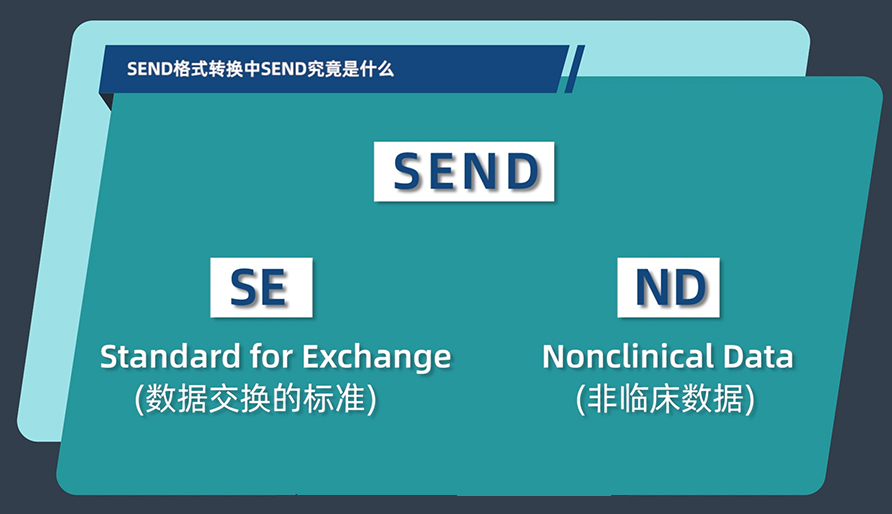 SEND体式转换中的SEND到底是什么？