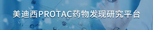 J9集团PROTAC药物发现钻研平台.png