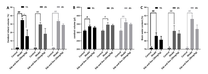 7-医治功夫窗调查-A：TTC；B：脑体积，C：脑含水量.jpg