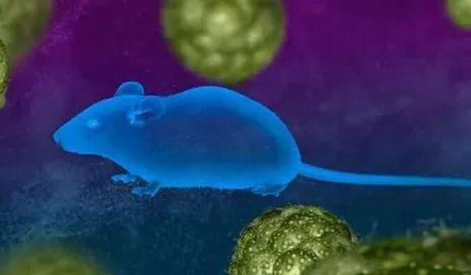 J9集团药效服务赋能First-in-Class泛素化抑造剂研发