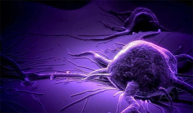 J9集团助力轩竹生物研发的齐全敲除岩藻糖的双抗ADC药物KM501获批临床