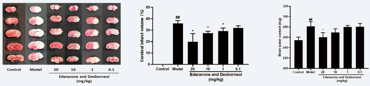 量效关系调查（TTC和脑含水量）（ mean±SEM）.jpg