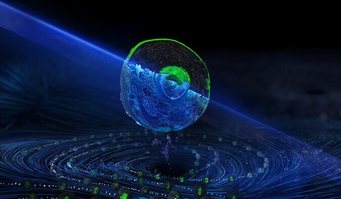 J9集团流式细胞分选服务平台