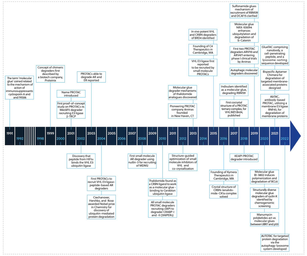 1-靶向蛋白降解剂的发展过程.jpg