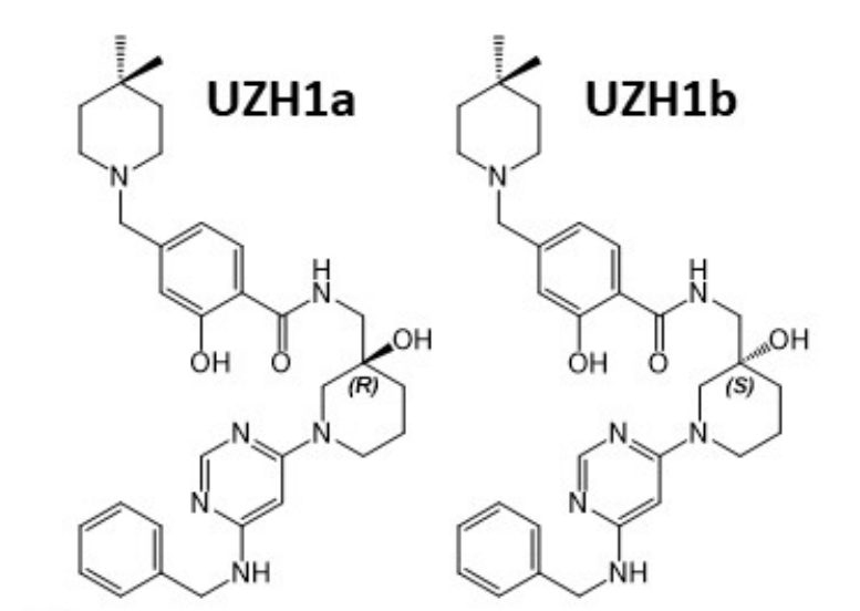 钻研人员汇报了一种拥有细胞渗入性的选择性METTL3纳摩尔抑造剂UZH1a，作者感激J9集团合成了UZH1a和UZH1b
