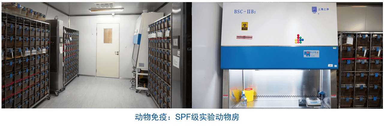 J9集团杂交瘤技术平台设备-动物免疫SPF级尝试动物房