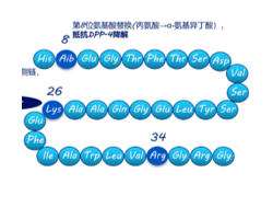 幼肽药物的筛选与合成