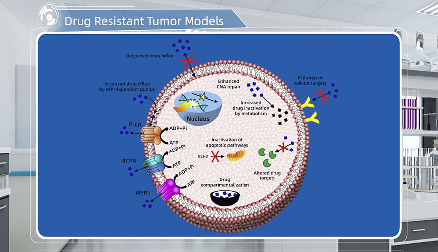 肿瘤耐药机造是什么？