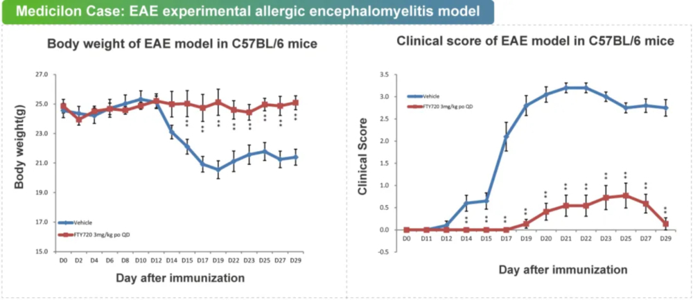 04 尝试性自身免疫性脑脊髓炎模型.jpg