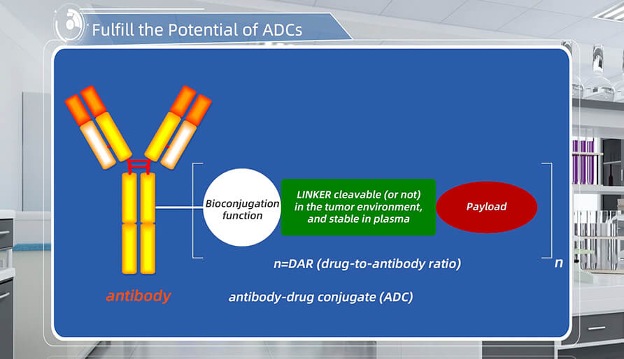 阐扬抗体偶联药物（ADCs）的全数潜力