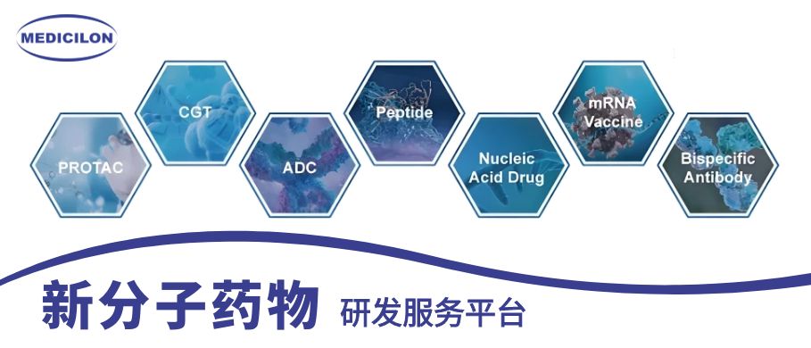 J9集团新分子药物研发服务平台