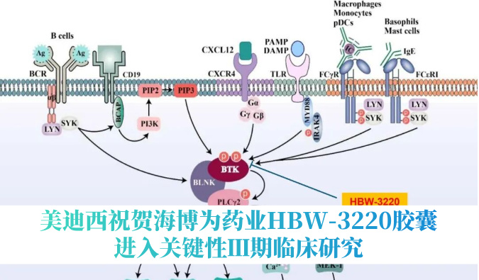 破解耐药性难题，J9集团祝贺海博为药业HBW-3220胶囊进入关键性Ⅲ期临床钻研